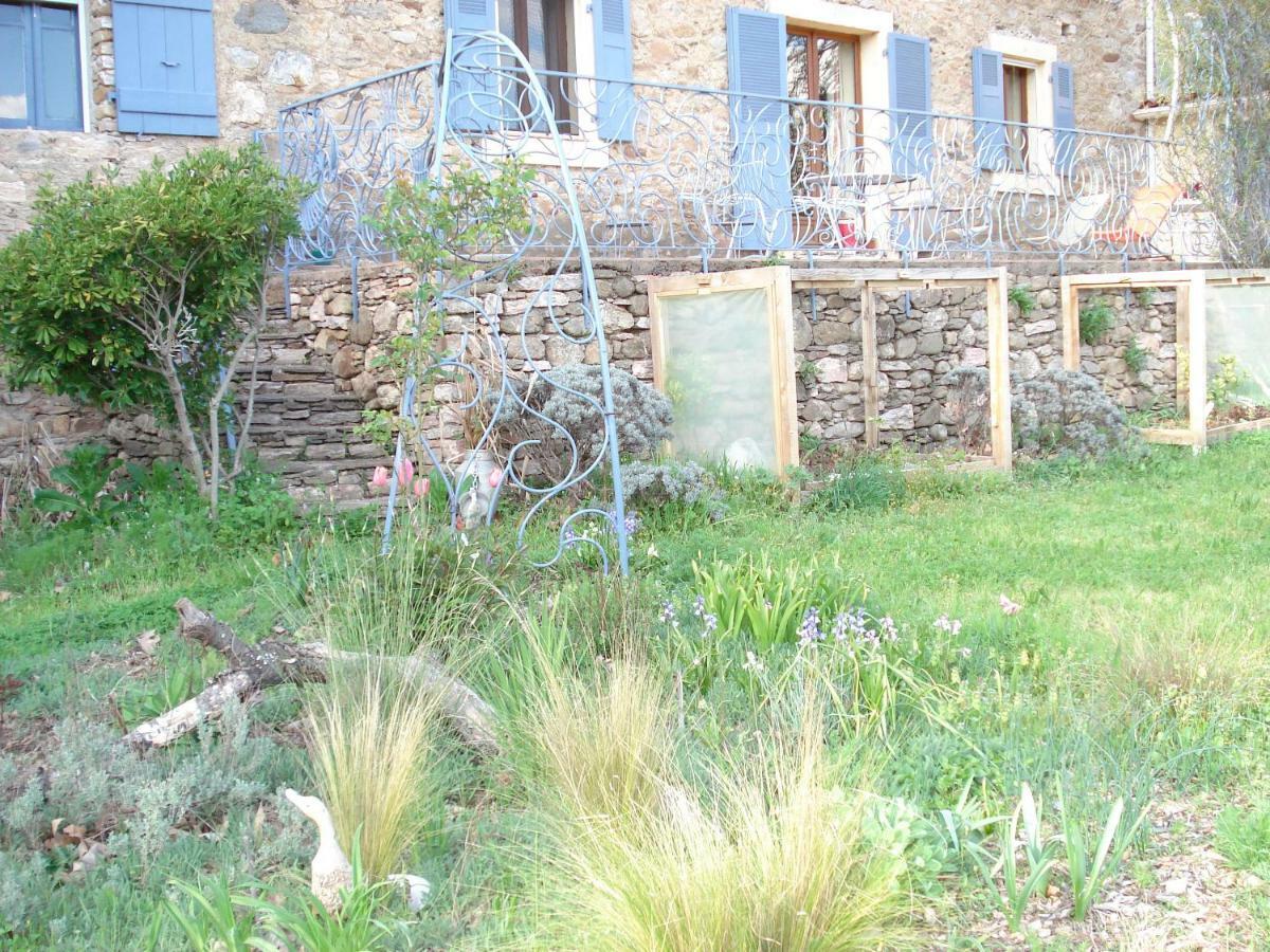 Villa Au Pied Du Caroux Longairou Mons  Exterior foto